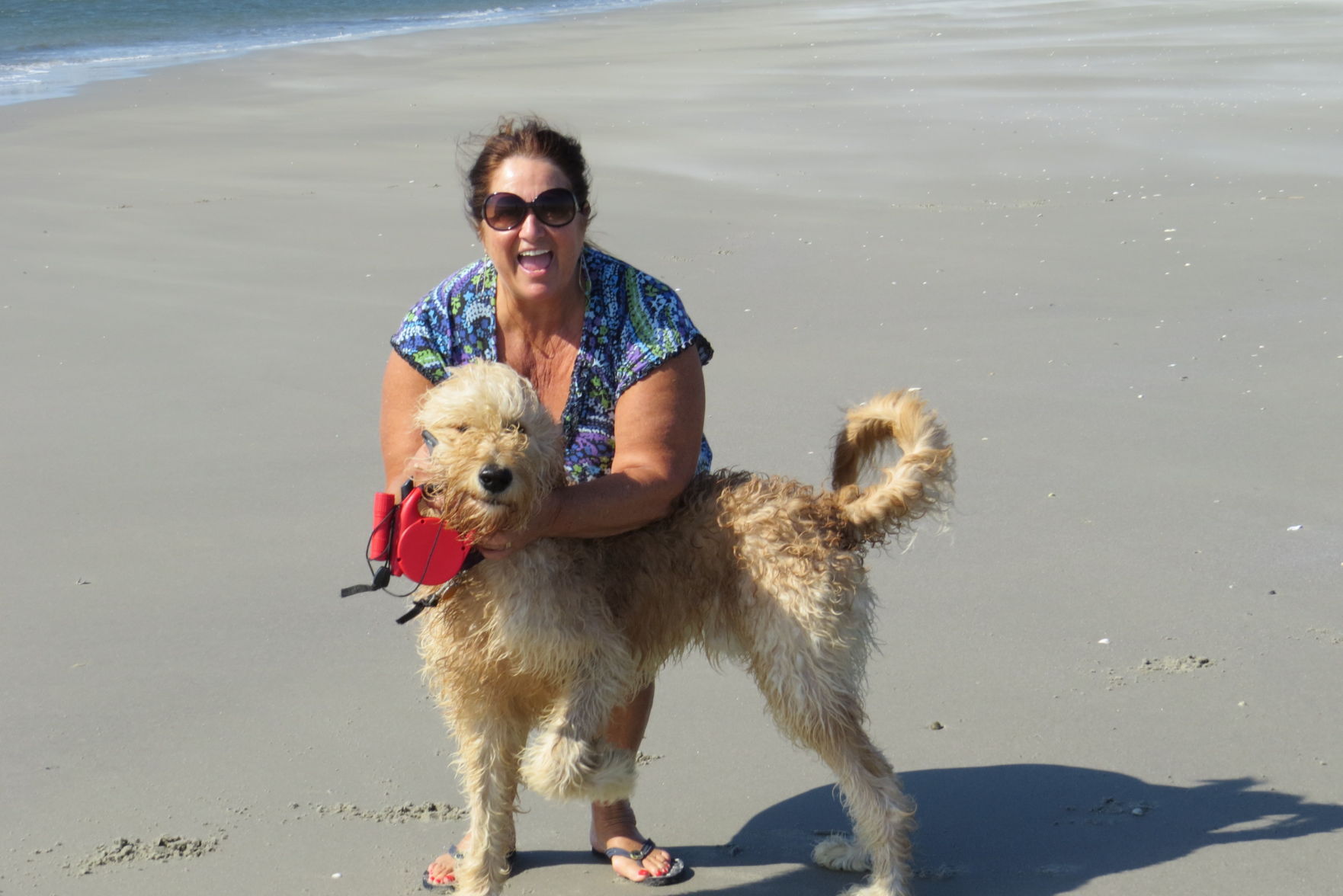 100816_urg_cdb_dogbeach (9).JPG